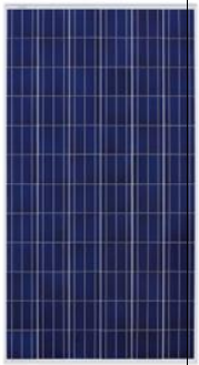 Suntastic Solar Systems Pvt Ltd - Solarmodul - SSS-300 SSS-300 - Art. 136124