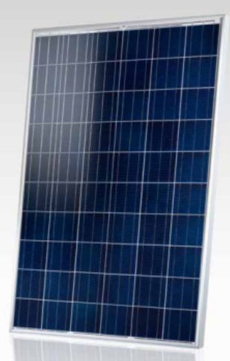 Brandoni Solare Spa - Solarmodul - STANDARD 255 - Art. 31005