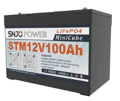 Hangzhou Saintish Technology Co., Ltd. - Speicher - STM12V100/200-2 STM12V200-2 - Art. 34807