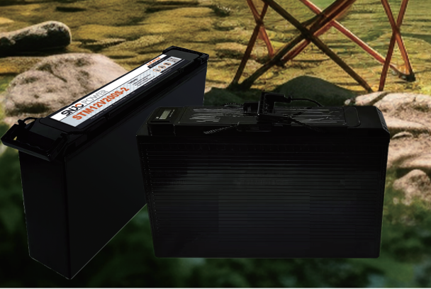 Hangzhou Saintish Technology Co., Ltd. - Speicher - STM12V100/200S-2 STM12V200S-2 - Art. 34808