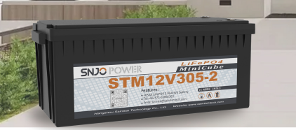 Hangzhou Saintish Technology Co., Ltd. - Speicher - STM12V305-2 STM12V305-2 - Art. 34804