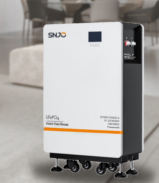Hangzhou Saintish Technology Co., Ltd. - Speicher - STM51V305Q-2 STM51V305Q-2 - Art. 34806