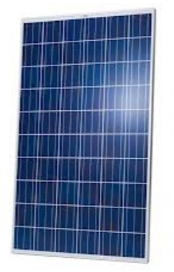 Surana Solar Ltd - Solarmodul - SVL 0250P SVL 0250P - Art. 181186
