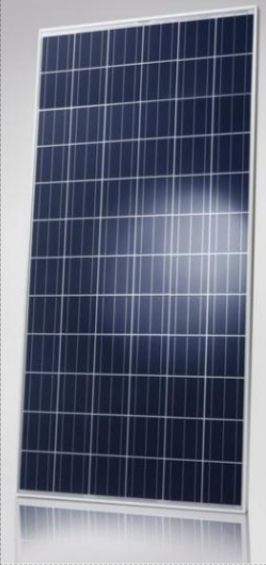 Surana Solar Ltd - Solarmodul - SVL 0260P SVL 0260P - Art. 181187