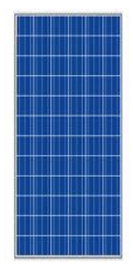 Surana Solar Ltd - Solarmodul - SVL 0300P SVL 0300P - Art. 181191