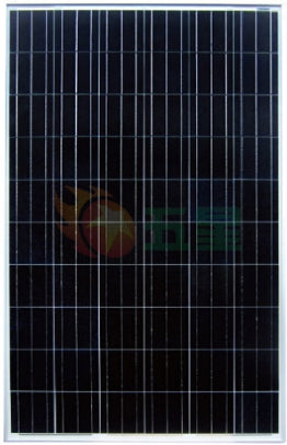 Guangdong Fivestar Solar Energy Co., Ltd. - Solarmodul - SW-240~250P SW250P - Art. 134281
