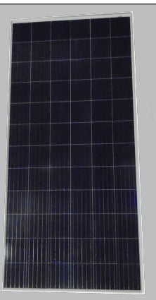 SunWize Power & Battery, LLC - Solarmodul - SWPB-320-C1D2-24 320W - Art. 146232
