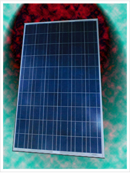 Shenzhen Sunshine Solar Electrical Appliance Co., Ltd. - Solarmodul - SY-175W-P SL175CE-24P - Art. 27193