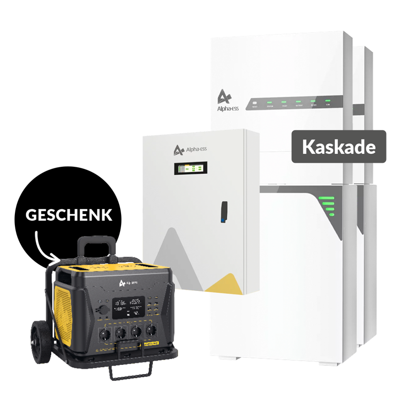 Alpha SMILE-Hi10 Kaskade Variante 1 mit Switch Box + BlackBee2000 geschenkt