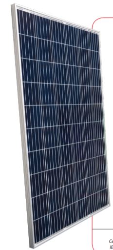 Achievers Energy - Solarmodul - Suntech Power
                                                        STP270-280 - 20 /Wfw STP275-20/ Wfw - Art. 144286