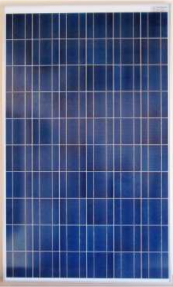 Surana Solar Ltd - Solarmodul - Surana SVL-175 SVL 175 - Art. 181176
