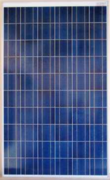 Surana Solar Ltd - Solarmodul - Surana SVL 140 SVL 0140 - Art. 181172