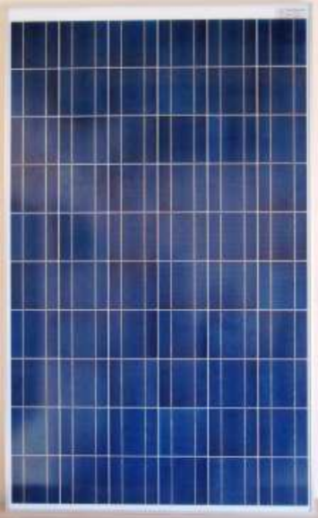 Surana Solar Ltd - Solarmodul - Surana SVL 150-24V SVL-150 - Art. 181174