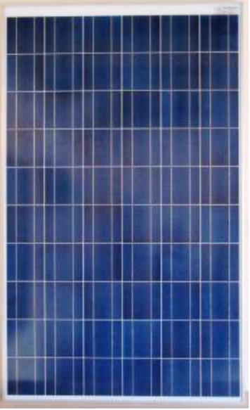Surana Solar Ltd - Solarmodul - Surana SVL 195 SVL-195 - Art. 181179