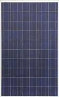 Tianke Energy Saving - Solarmodul - TESPV 250-300W Poly TESPV 270W Poly - Art. 134694