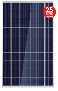 TN Solar Co., Limited - Solarmodul - TN290W POLY TN290W POLY - Art. 192796
