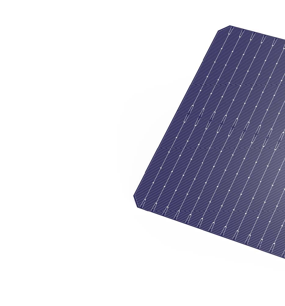 TN Solar Co., Limited - Zellen - TOPCon 182mm 16BB 8,16 - Art. 26962