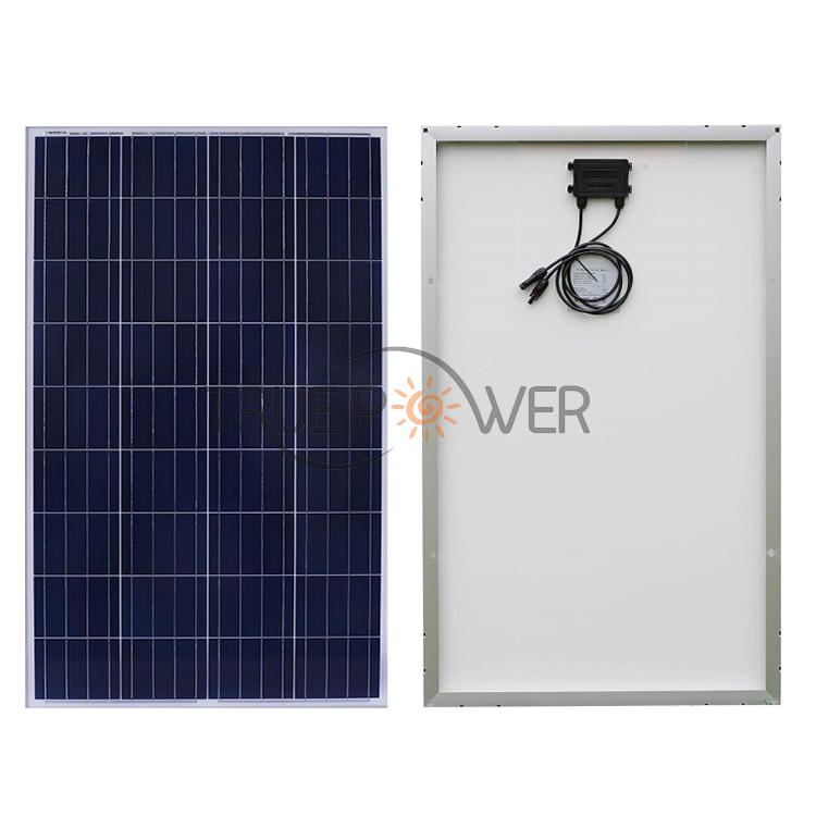 True Power Co. Ltd. - Solarmodul - TP-P36-100 TP-P36-100 - Art. 123365