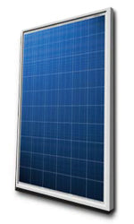Zhongli Group - Solarmodul - TP660P 220-250 225 - Art. 178515