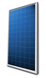 Zhongli Group - Solarmodul - TP672P 260-300 260 - Art. 178496
