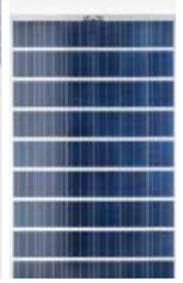 Brandoni Solare Spa - Solarmodul - TRASPARENTE 54 BRP6354064TF-185 - Art. 31125