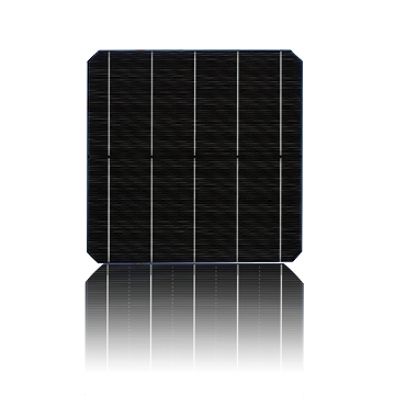 TSEC Corporation - Zellen - TSS65TN (4Pads) 218 - Art. 21630