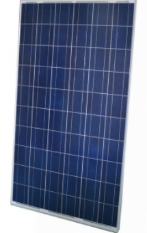 Guangzhou Didisolar Equipment Co., Ltd - Solarmodul - TYP-300-325P-72 TY320P-72 - Art. 120664