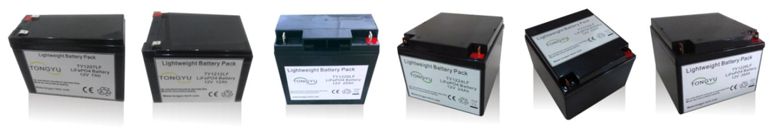 Tongyu Technology Co., Ltd. - Speicher - TY Series TY12V100A - Art. 2785