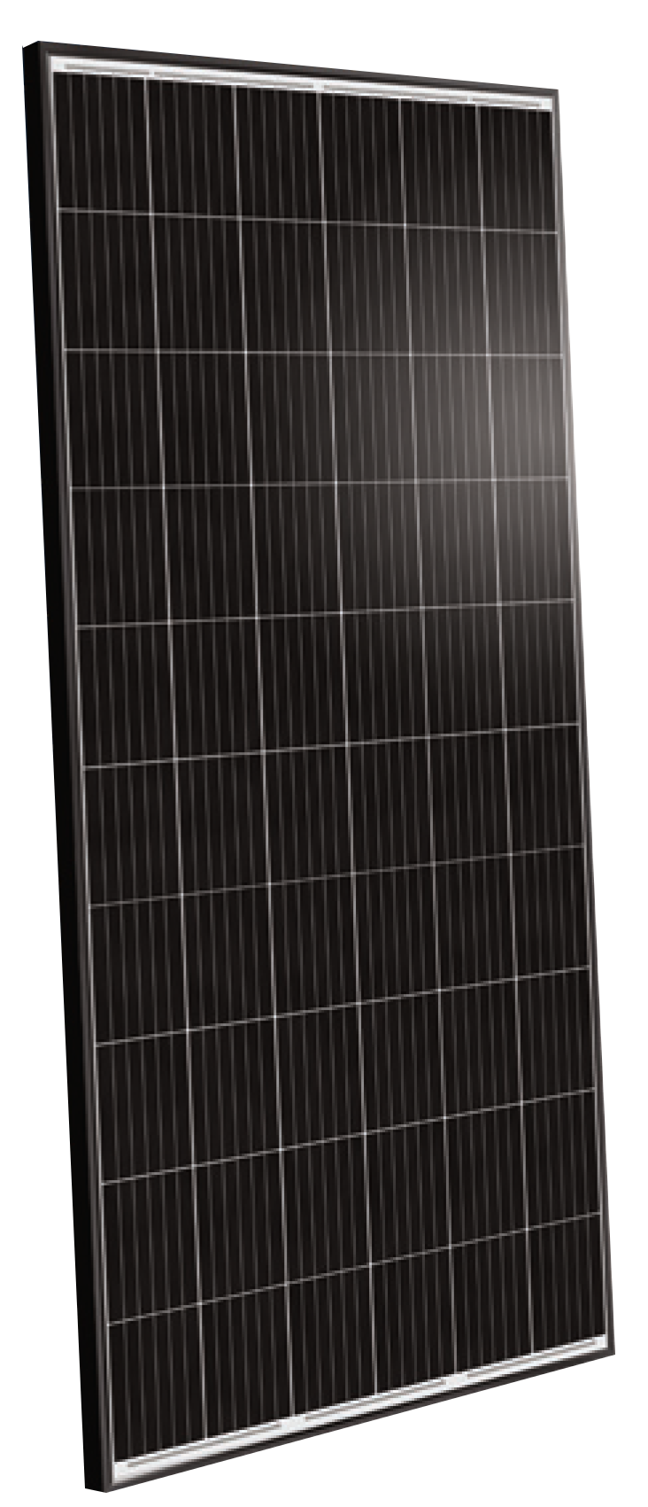 Trienergia Solarmodul COE-280P60L - Art. 159141
