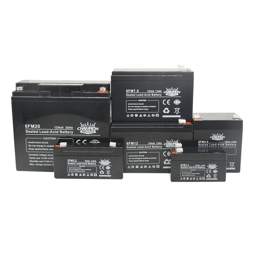 Champion Power Tech Co., Ltd. - Speicher - VRLA Battery 6FM250 - Art. 34463