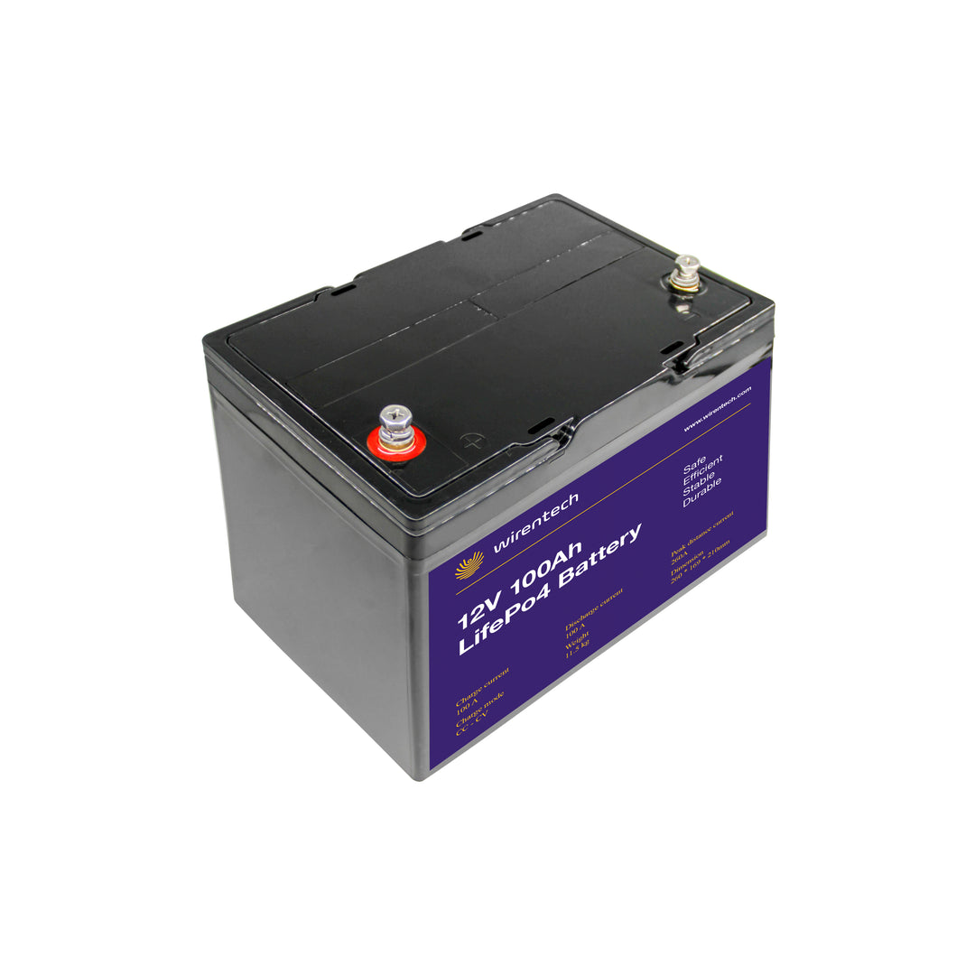 Shenzhen Wirentech Co., Ltd. - Speicher - WT12100 WT12100 - Art. 21225