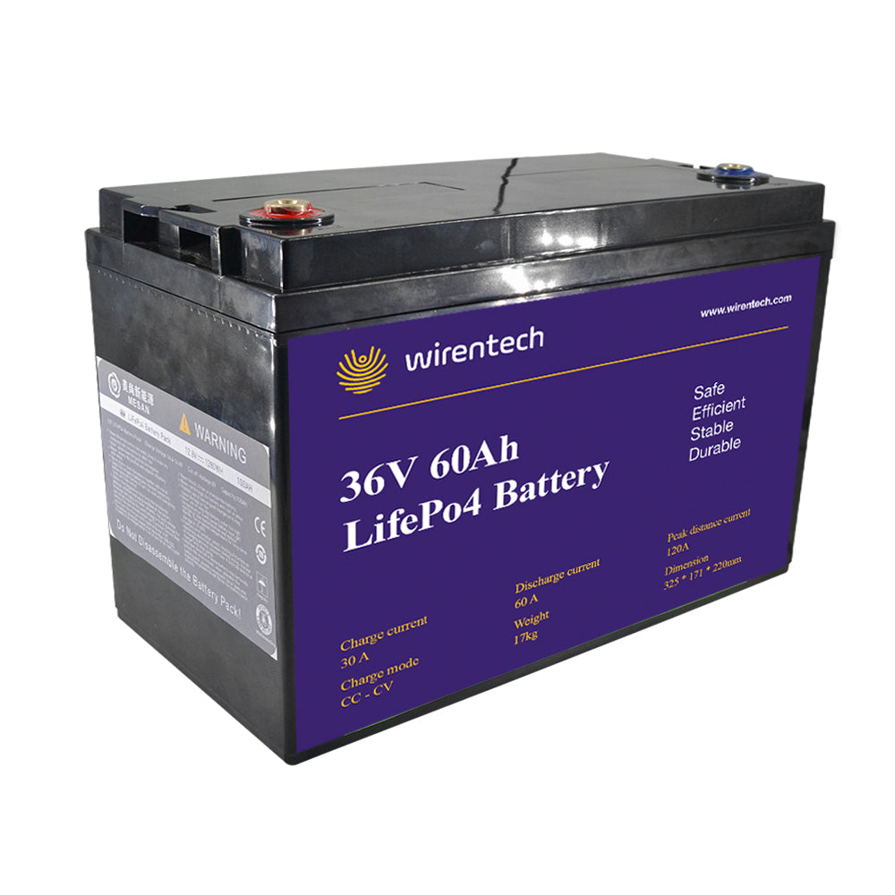 Shenzhen Wirentech Co., Ltd. - Speicher - WT3660 WT3660 - Art. 21230