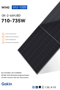 Gokin Solar Co., Ltd. - Solarmodul - Wing G12-132D 710-735W GK-2-66HJBD-207M - Art. 225710
