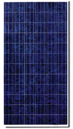 X-Greenpower New Energy (Ningbo) Co., Ltd. - Solarmodul - X6P-TP-275W~290W X6P-TP275 - Art. 134963