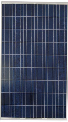 Yangtze Solar Power Co., Ltd. - Solarmodul - YS100P-36 YS100P-36 - Art. 108998