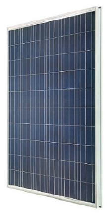 Yangtze Solar Power Co., Ltd. - Solarmodul - YS250P-60 YS250P-60 - Art. 109004