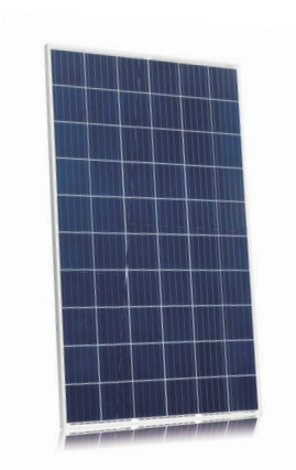 Yangtze Solar Power Co., Ltd. - Solarmodul - YS280-320P-60 YS310P-60 - Art. 237216