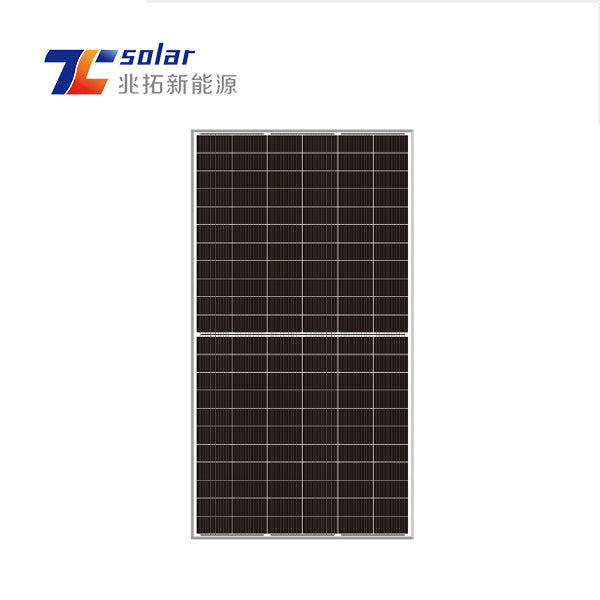Anhui Zhaotuo New Energy Technology Co., Ltd. - Solarmodul - ZT(650-670W)-132MB12 650W - Art. 219884