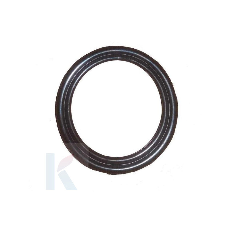 Solarics Ariston 3850028 – Zubehör GUM Brida Dichtung