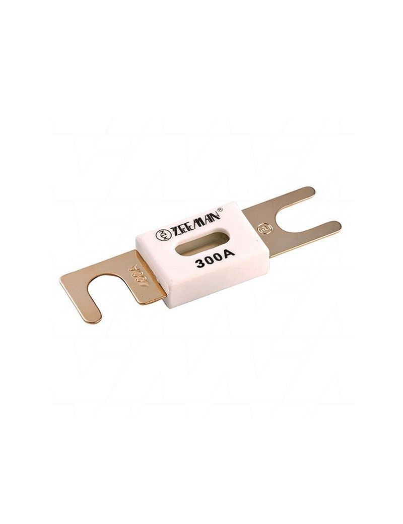 Victron ANL fuse 300A/80V