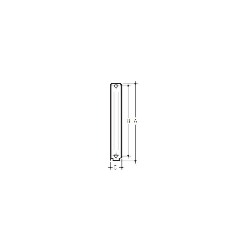 Solarics Baxi 7276003 – Aluminium-Heizkörperelement Astral 60