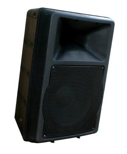 NSC Sicherheitstechnik PA-Lautsprecher 12", inkl. Ballwurfzertifizierter Wandhalterung - Art. S05880-00