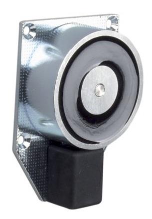 Hekatron Brandschutz Türhaftmagnet für Feststellanlagen THM 425 - Art. 6 500 016