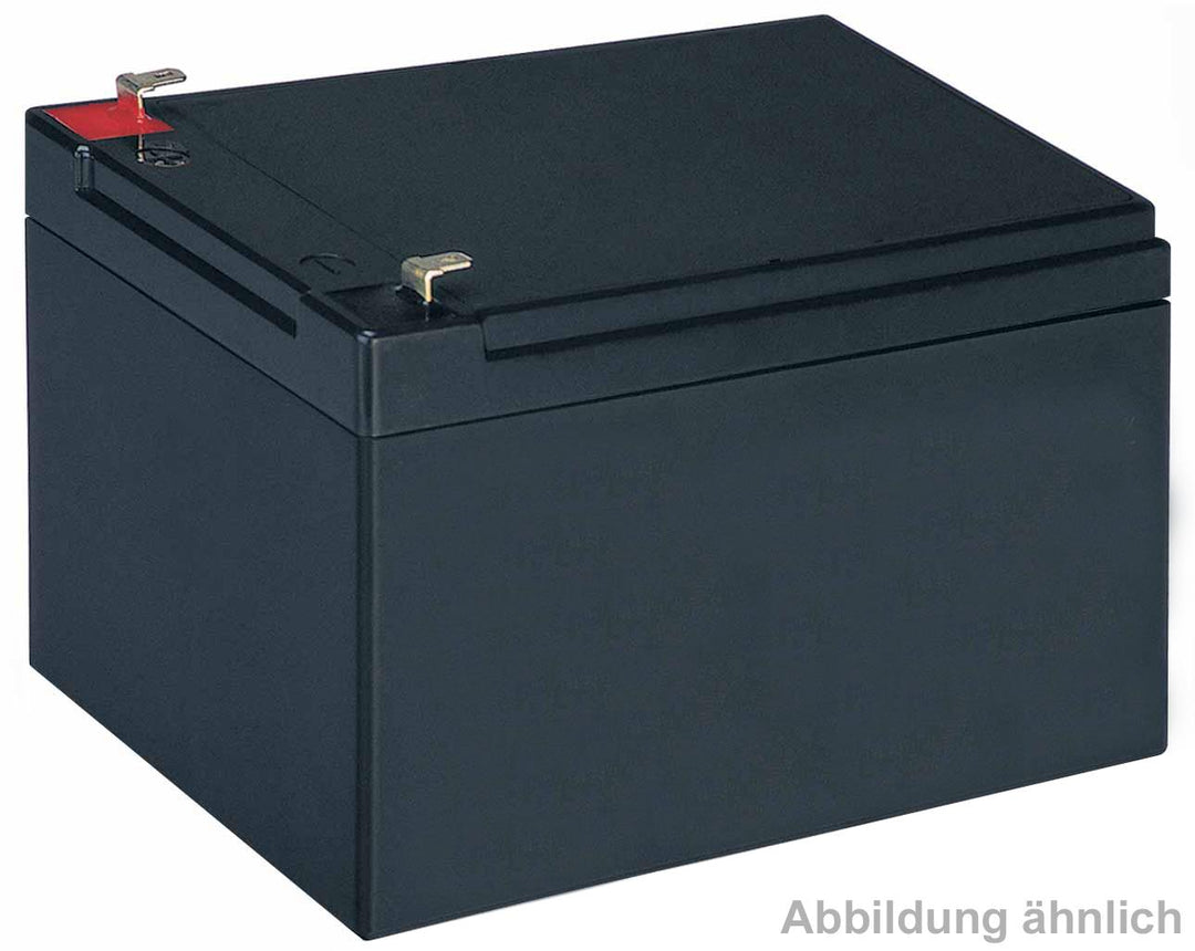 NSC Sicherheitstechnik Notstrom-Akku, 12V / 65 Ah - Art. X95666-00
