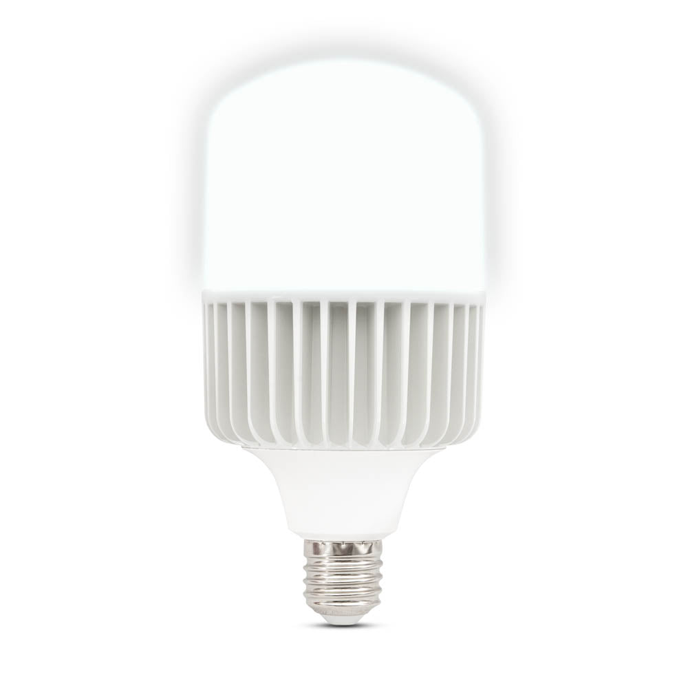 Novelite LED-Lampe, E40, 80 W, 6500 K