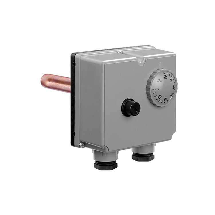 Caleffi Tauch-Bithermostat, Einstellung 100 °C 623000