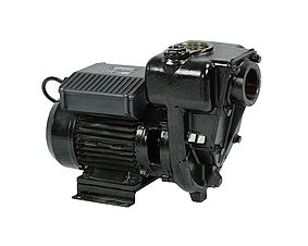 ZUWA E 300 Dieselpumpe , 2580 min-1, 230 V ohne Kabel und Stecker -Art. P32100