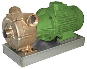 ZUWA EPt 400/70, 7,5 kW, 1400 min-1, 400 V Seitenkanalpumpe aus Bronze , GLRD NBR -Art. 180013BSP