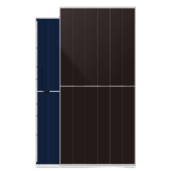 DAH Solar - Solarmodul - DAH DHN-66Z20/DG 650Wp