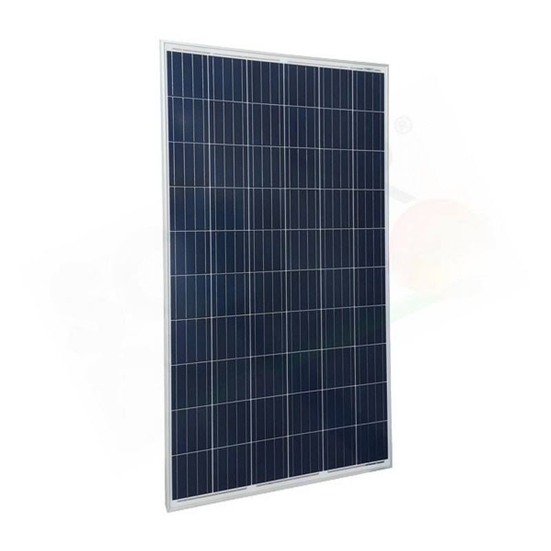 TRIENERGIA COE250P60L – POLYKRISTALLINES PHOTOVOLTAIKMODUL 250 W EU